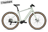 Testvelo Flyer Upstreet SL 3.12 XC, Frosty Sage Gloss, L